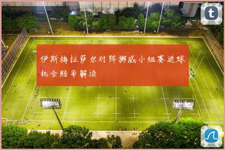 伊斯梅拉萨尔对阵挪威小组赛进球机会赔率解读