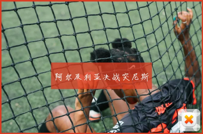 阿尔及利亚决战突尼斯