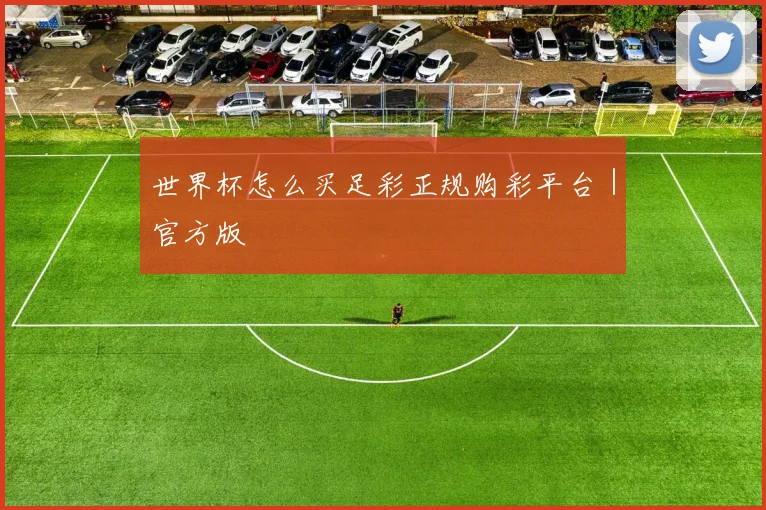 世界杯怎么买足彩正规购彩平台｜官方版