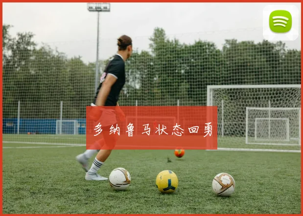 多纳鲁马状态回勇