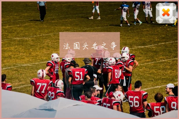 法国头名之争