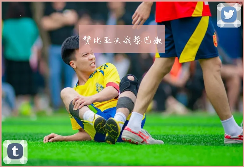 赞比亚决战黎巴嫩