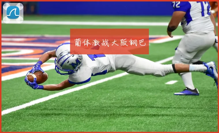 葡体激战大阪钢巴