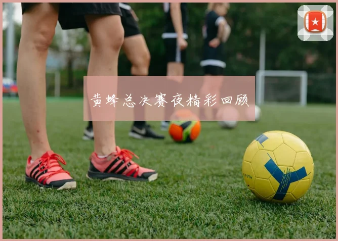 黄蜂总决赛夜精彩回顾