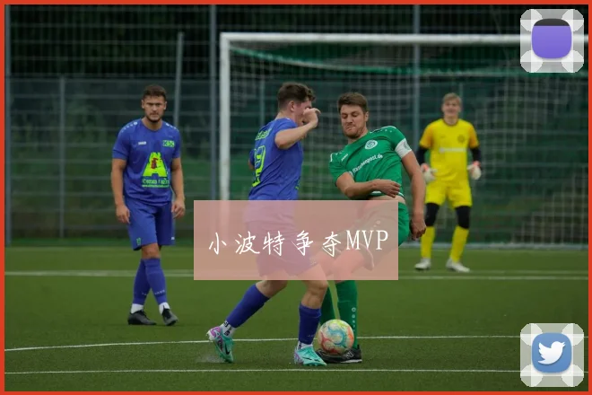 小波特争夺MVP