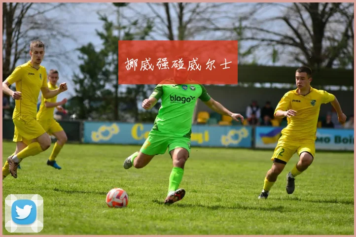 挪威强碰威尔士