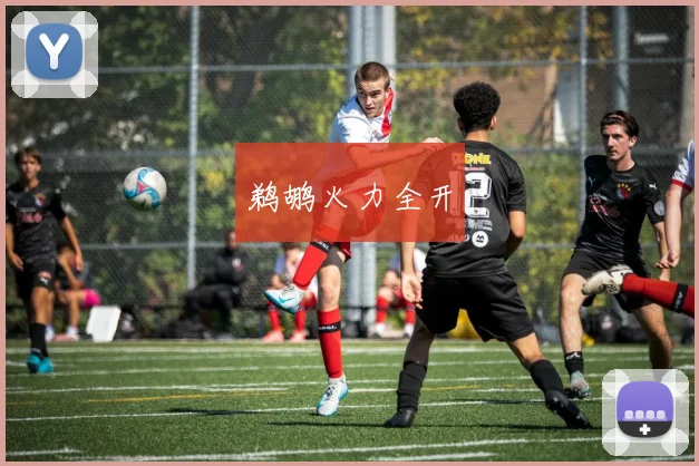 鹈鹕火力全开