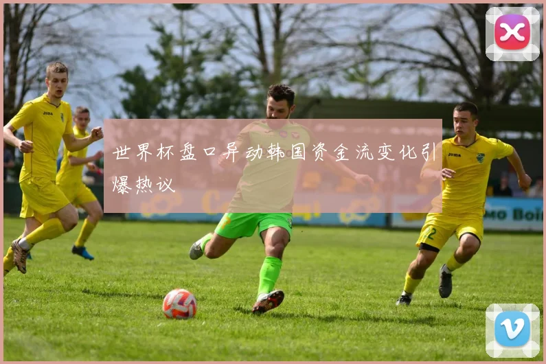世界杯盘口异动韩国资金流变化引爆热议