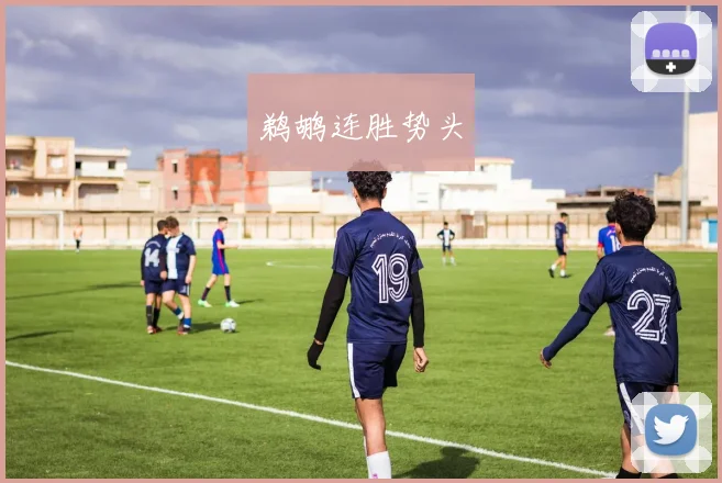 鹈鹕连胜势头