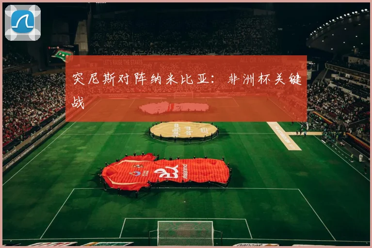 突尼斯对阵纳米比亚：非洲杯关键战