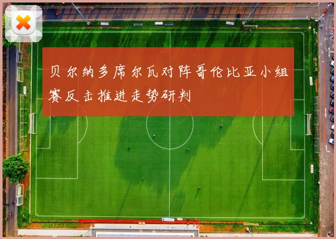 贝尔纳多席尔瓦对阵哥伦比亚小组赛反击推进走势研判