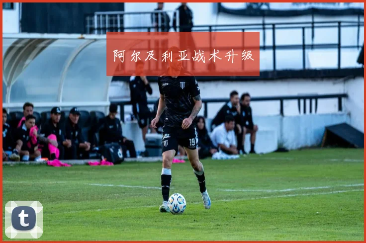 阿尔及利亚战术升级