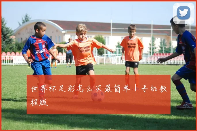 世界杯足彩怎么买最简单｜手机教程版