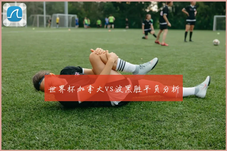 世界杯加拿大vs波黑胜平负分析
