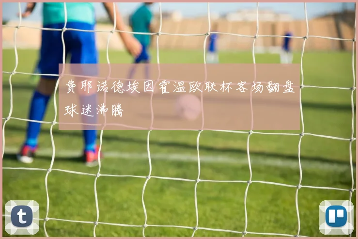 费耶诺德埃因霍温欧联杯客场翻盘球迷沸腾