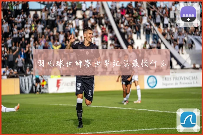羽毛球世锦赛世界纪录最怕什么